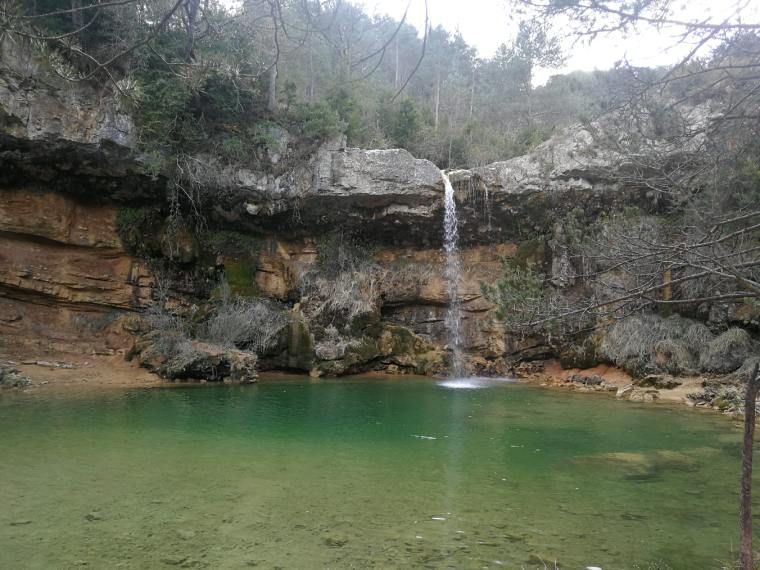 gorg del colomer